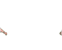 Hibaika Sticker by ACT