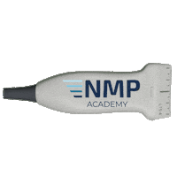 Ltd Nmp Sticker by Przezskornaneuromodulacja