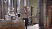 tom & harry GIF by vrt