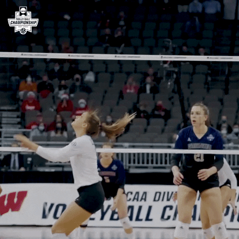 Happy Kentucky Wildcats GIF by NCAA Championships