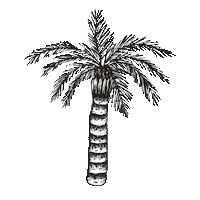 High School Beach Sticker by HEMA