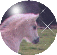 Saddle Creek Cutie Sticker by feeble little horse