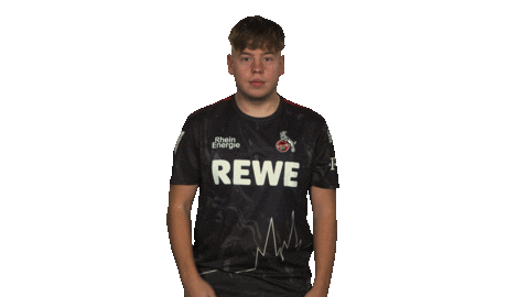 Sk Gaming Pride Sticker by Bundesliga