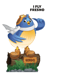 Bird Airport Sticker by FlyFresno