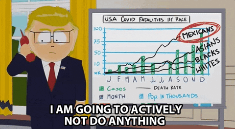 Trump President GIF by South Park