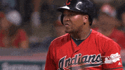 Major League Baseball Sport GIF by MLB