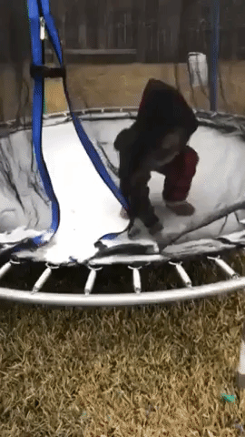 Dog Enjoys Jumping on Icy Trampoline in Texas