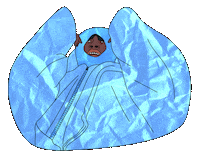 Trap Florida Sticker by $NOT