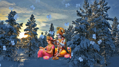 pramodmittal44gmailcom giphyupload GIF