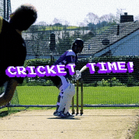 England Cricket Sport GIF by Luke Westen