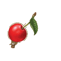 Wine Cherry Sticker by Oliver Winery