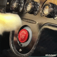 Pomeranian Kroshka GIF