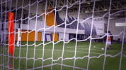 world cup afl GIF by Adelaide Crows