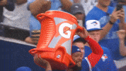 Blue Jays Baseball GIF by Toronto Blue Jays