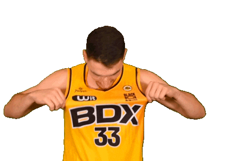 Basketball Basket Sticker by JSABMB