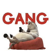 LazyThings nft things lazy nfts Sticker