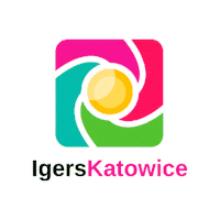 Katowice Sticker by igerspoland