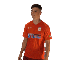 Wbg11 Sticker by WasserburgerLöwen