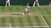 tennis federer GIF by Wimbledon