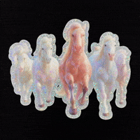 Motivation Good Job GIF by The LSD Hotel