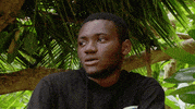 GIF by CBS