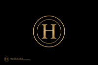 hollmanninternational logo flip h new offer GIF
