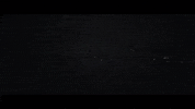 rosie lowe birdsong GIF