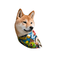 Shiba Inu Doge Sticker by Geekster Pets