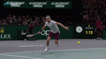 Paris Winning GIF by Tennis TV