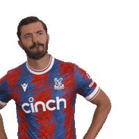 Lets Go Win Sticker by Crystal Palace Football Club