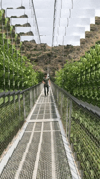 davidgharibyan travel bridge davit gharibyan david gharibyan GIF