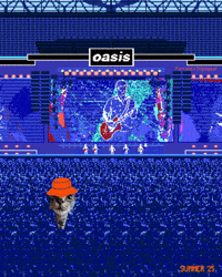 Oasis Cat Meme GIF by Furrend