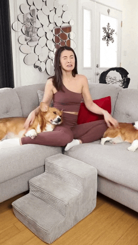 cuteanimalland giphyupload GIF