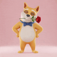 Valentines Day Love GIF by Doge Pound
