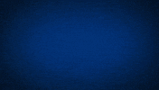 Text gif. Against the backdrop of a dark, snowy night appears the words, “Happy Anniversary.”