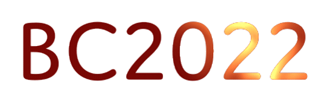 Bc Class Of 2022 Sticker by BostonCollege