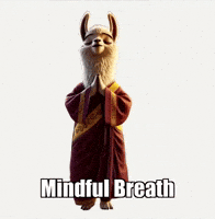 Inner Peace GIF by dalaillamazen