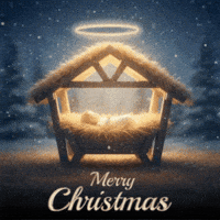 Merry Christmas GIF by FirstCry Parenting