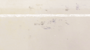 Njvphoto GIF