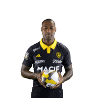 Rugby Larochelle Sticker by Stade Rochelais