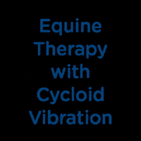 Niagaraequissage niagara equissage equissagepulse niagaraequissagepulse GIF