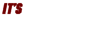 Williams Brice Football Sticker by gamecocksonline