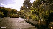 Masterchefau Contestants GIF by MasterChefAU
