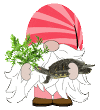 My Pet Turtle Sticker
