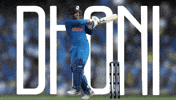 World Cup Ipl GIF