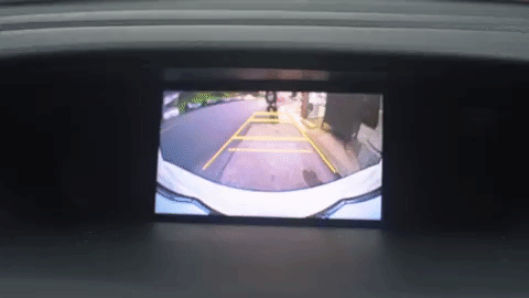 GIF by Central Valley Honda Dealers