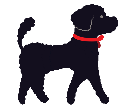 Dog Run Sticker by allpears