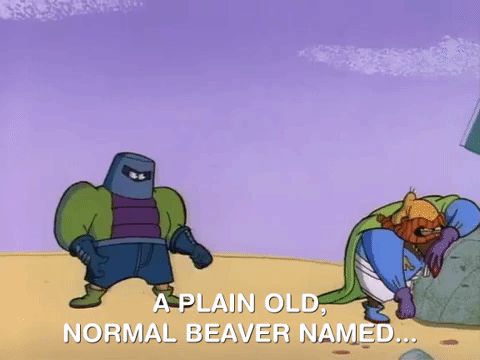 nickrewind giphydvr nicksplat angry beavers giphyab006 GIF