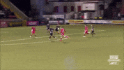 Celebration Goal GIF by Cliftonville Football Club