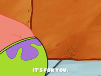 season 5 GIF by SpongeBob SquarePants